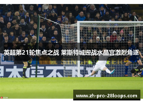 英超第21轮焦点之战 莱斯特城迎战水晶宫激烈角逐