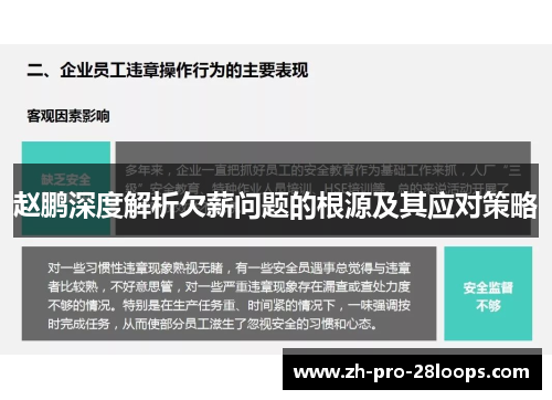 赵鹏深度解析欠薪问题的根源及其应对策略