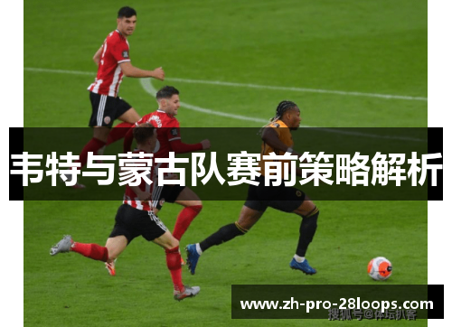 韦特与蒙古队赛前策略解析 韦特与蒙古队赛前策略解析