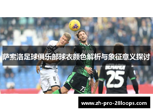 萨索洛足球俱乐部球衣颜色解析与象征意义探讨