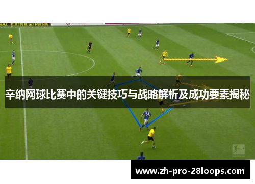 辛纳网球比赛中的关键技巧与战略解析及成功要素揭秘