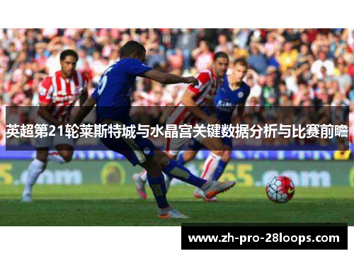 英超第21轮莱斯特城与水晶宫关键数据分析与比赛前瞻 英超第21轮莱斯特城与水晶宫关键数据分析与比赛前瞻